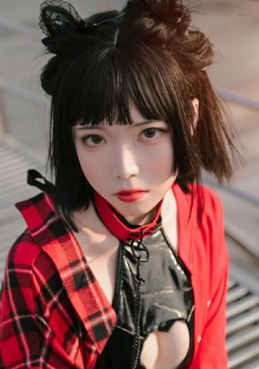 元泰公棚赛鸽公棚