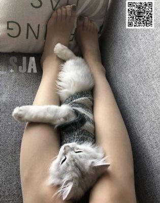 红河电影