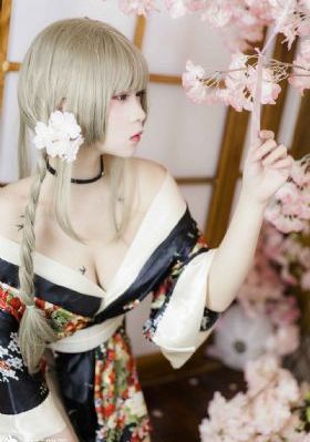 她的城 电视剧