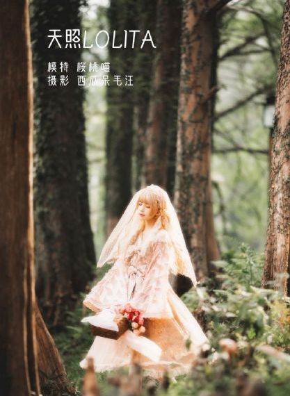 清网行动