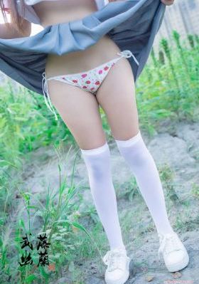 西夏死书电视剧在线