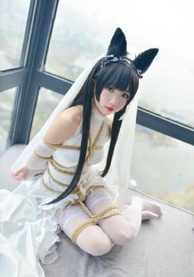 智齿韩国