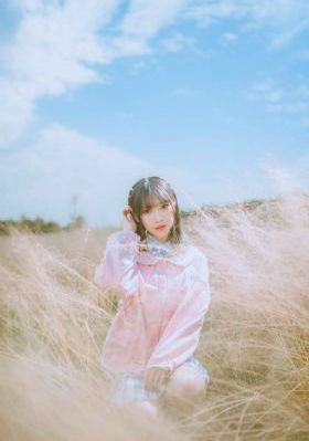 下节目